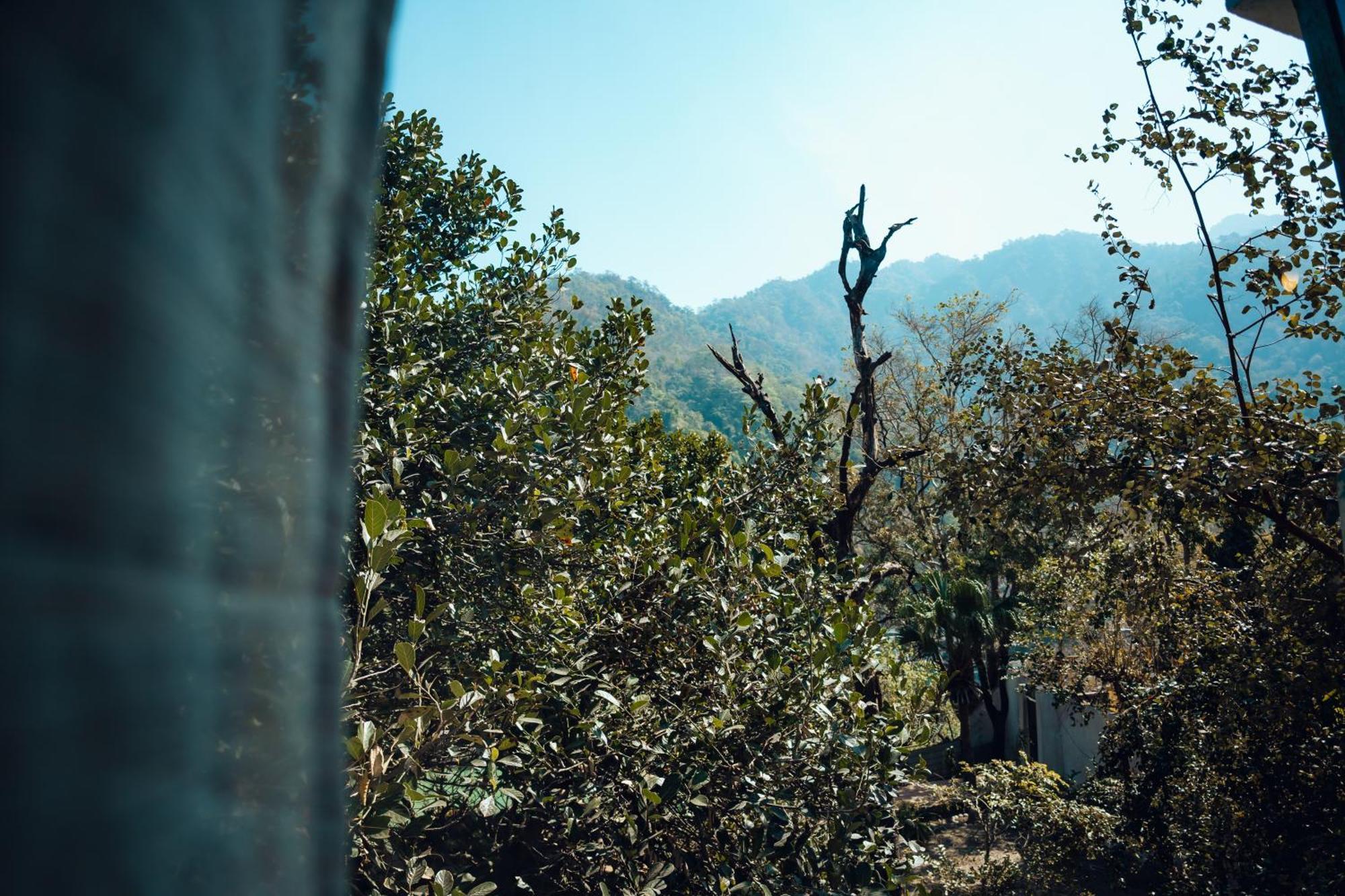 Art Bliss Hostel Rishikesh Luaran gambar